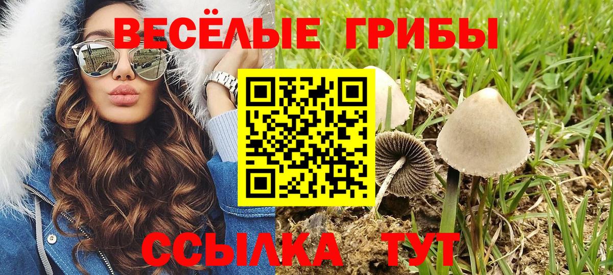 A PVP Нефтекумск